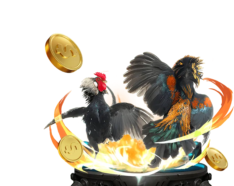 Tổng quan nền tảng casino 67